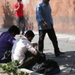 قیمت نفت