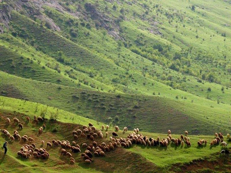 هوراند؛ شهر گمشده در جنگلهای ارسباران با قلعههای هزارساله