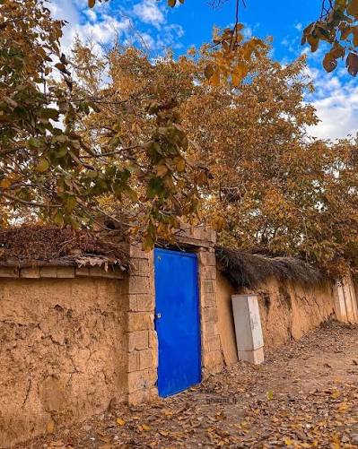 حفظ باغات شیراز؛ از انگیزه باغدار تا حساسیت مردم