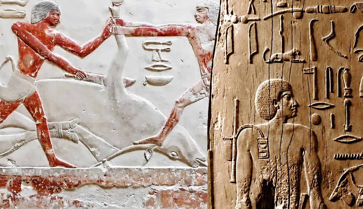 اسرار خط مرموز مصر باستان؛ از ۳۲۰۰ سال پیش از میلاد تا امروز چه می‌دانیم؟